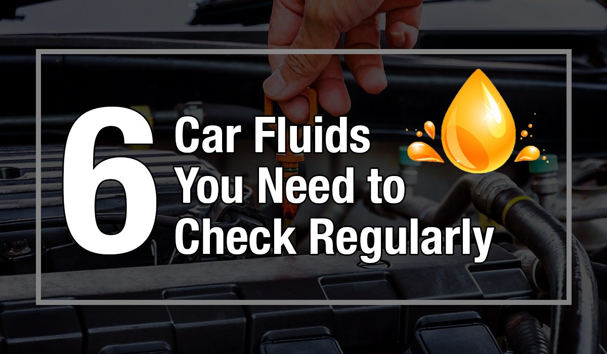 Car Fluids That You Need To Check Regularly Auto Doc
