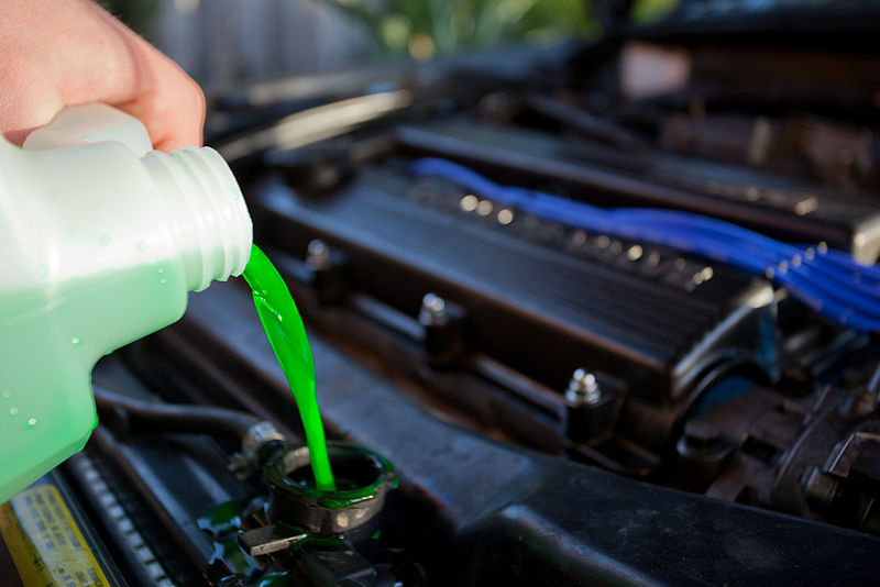 How to Dispose of Antifreeze, Respect our Environment – Auto Trends Magazine