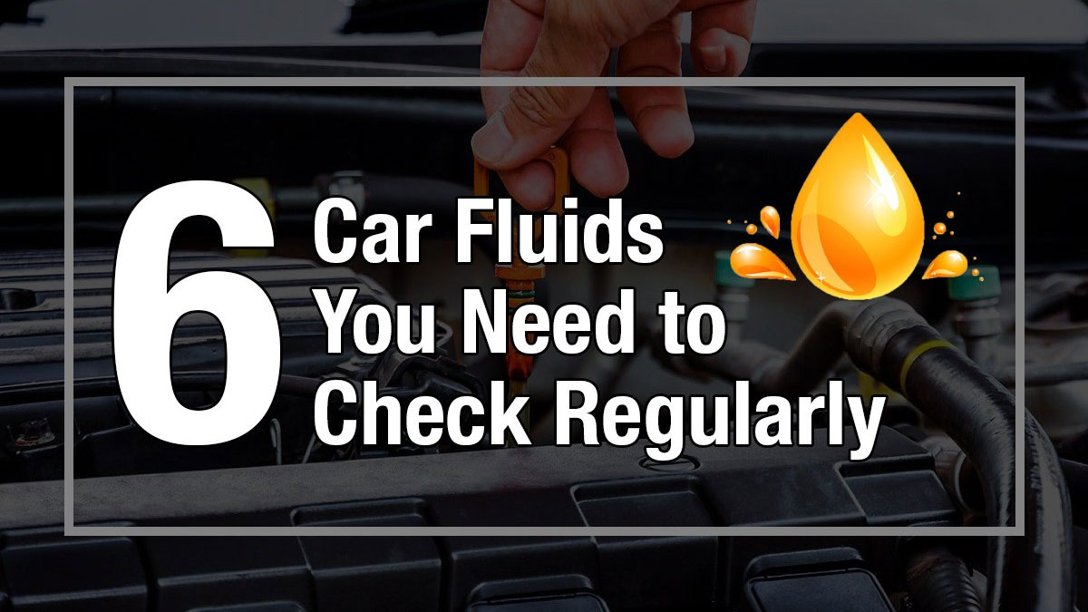 car fluids to check