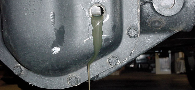 gear oil leak